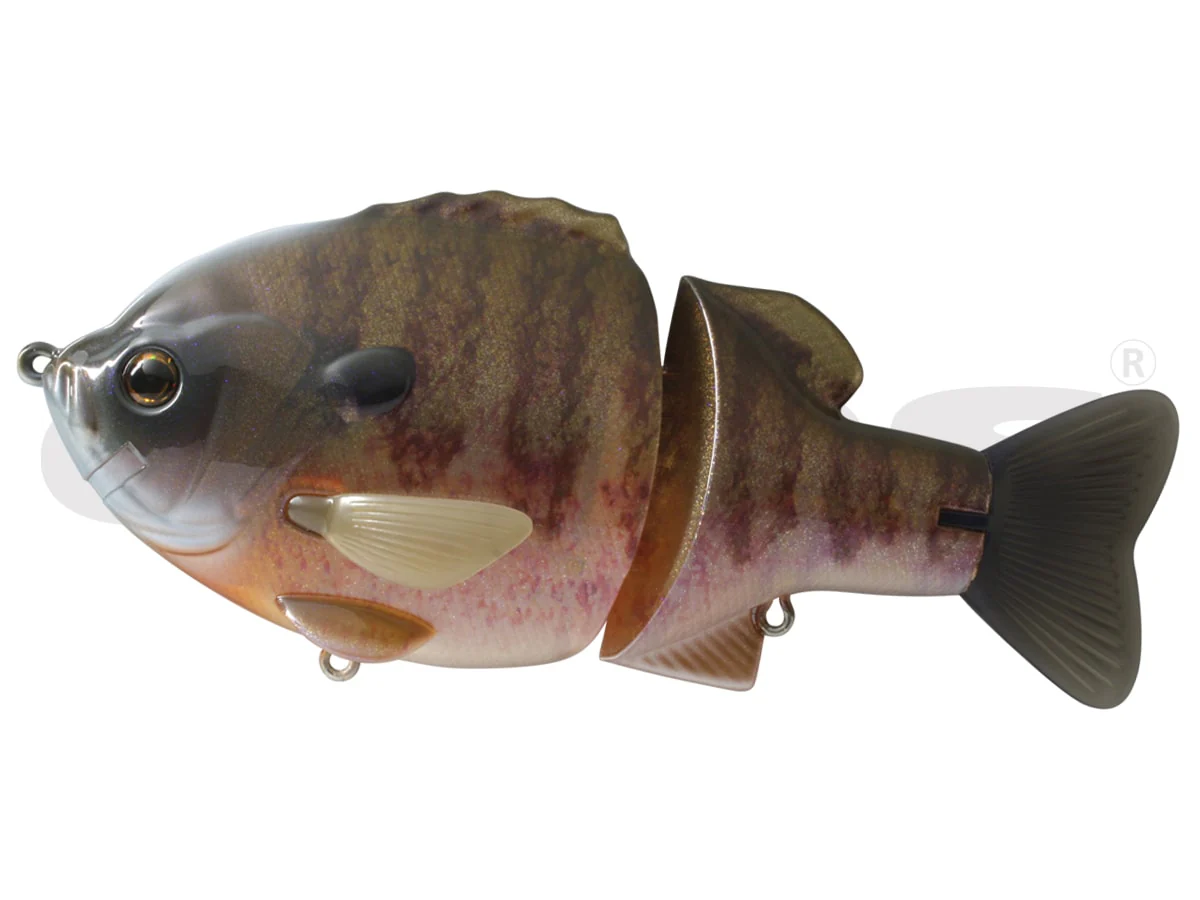 Deps Bullshooter 160SS - Image 4