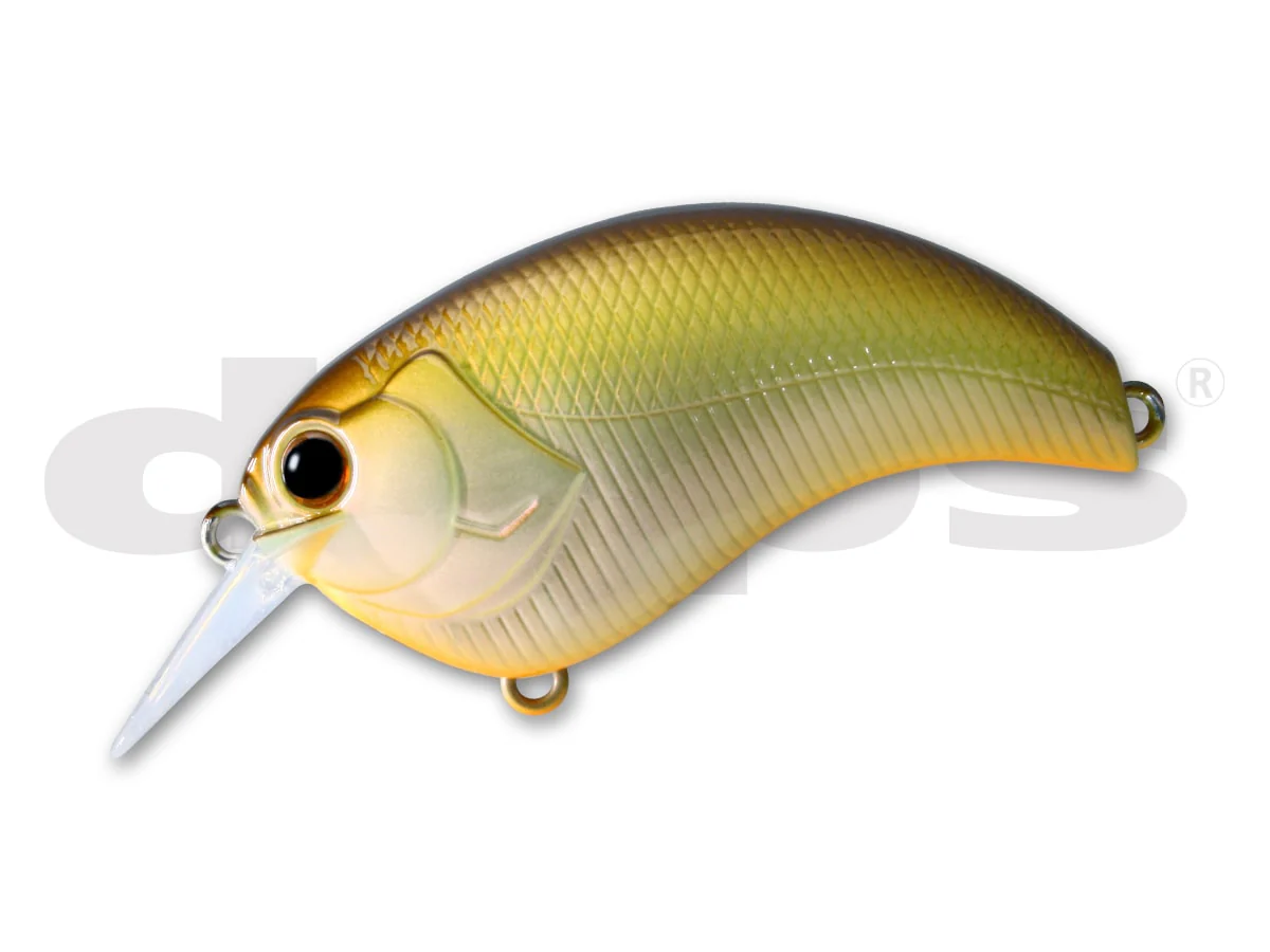 Deps Evoke 1.2 - Image 17