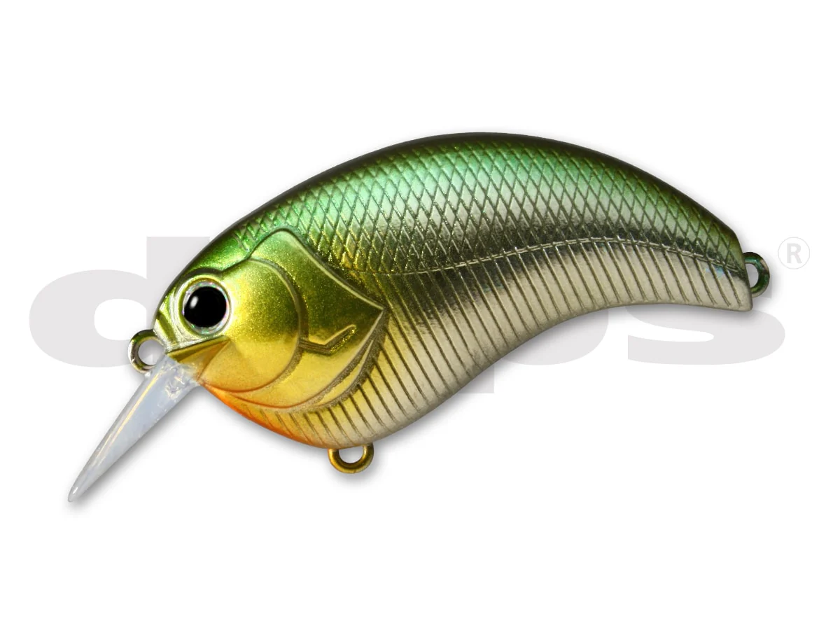 Deps Evoke 1.2 - Image 20