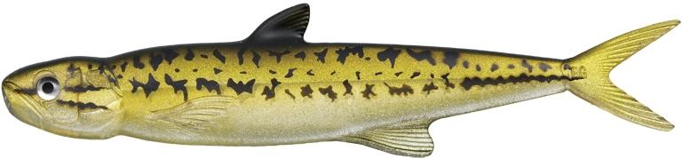 Evergreen Last Ace 168 - Image 8
