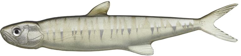 Evergreen Last Ace 168 - Image 9