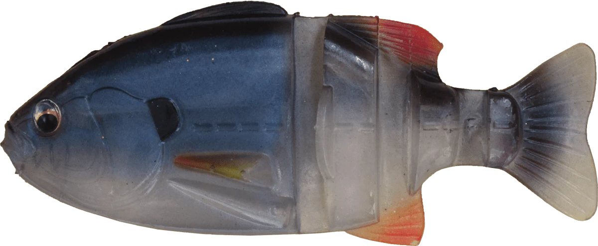 Imakatsu Java Gill 110 - Image 8