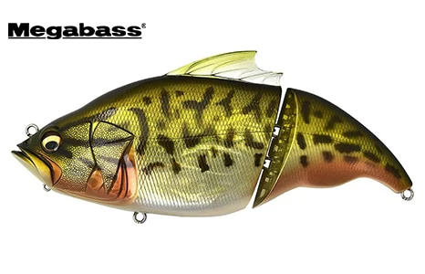 Megabass Vatalion 190SF - Image 11