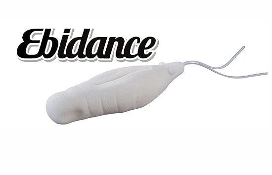 OSP Ebidance