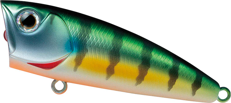Steez Popper 50F - Image 8